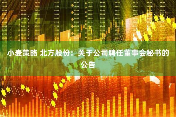 小麦策略 北方股份：关于公司聘任董事会秘书的公告