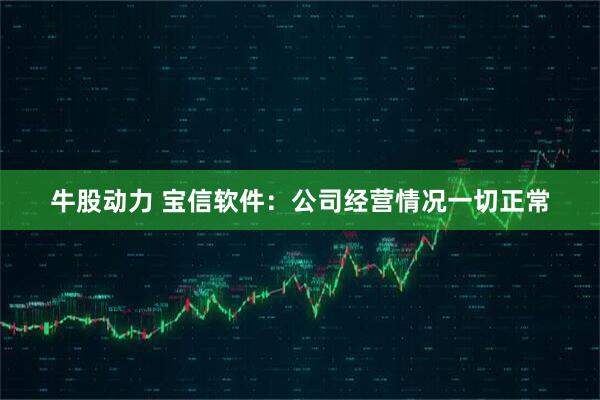 牛股动力 宝信软件：公司经营情况一切正常